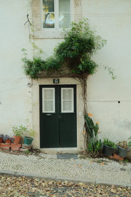 Starter Plan Details